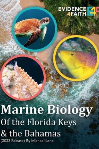 Cover of Marine Biology of the Florida Keys & the Bahamas