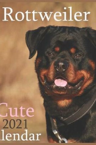 Cover of Rottweiler Cute