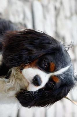 Book cover for A Pensive Cavalier King Charles Spaniel Journal