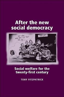 Book cover for After the New Social Democracy: Social Welfare for the 21st Century