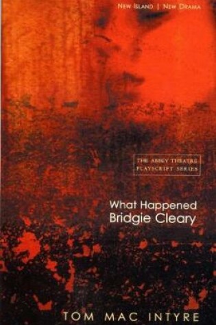 Cover of What Happened Bridgie Cleary?