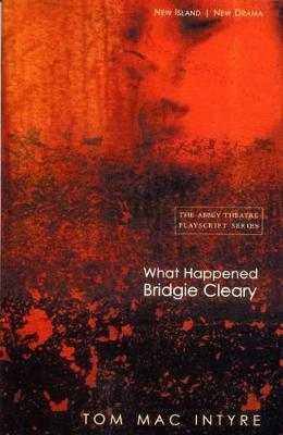 Book cover for What Happened Bridgie Cleary?