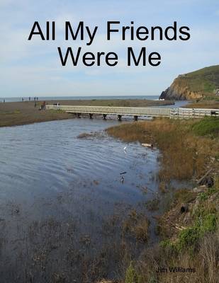 Book cover for All My Friends Were Me