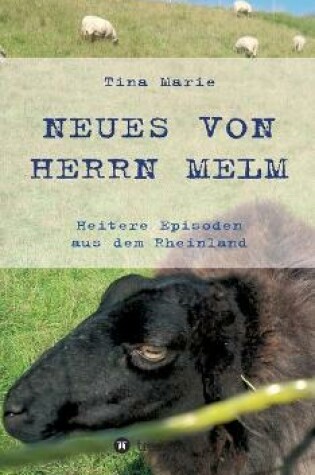 Cover of Neues von Herrn Melm