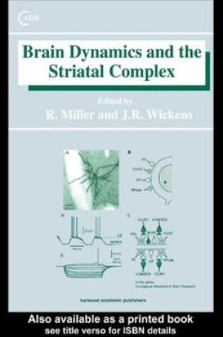 Cover of Brain Dynamics and the Striatal Complex