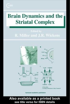 Book cover for Brain Dynamics and the Striatal Complex