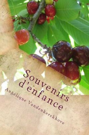 Cover of Souvenirs d'enfance