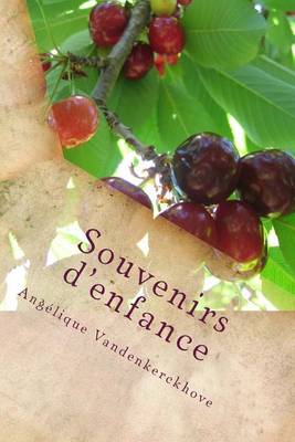 Book cover for Souvenirs d'enfance