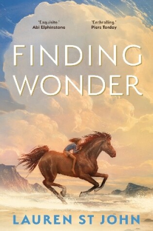 Cover of Finding Wonder