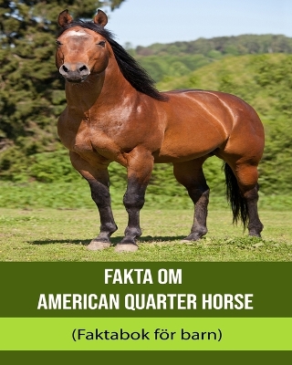 Book cover for Fakta om American Quarter Horse (Faktabok för barn)