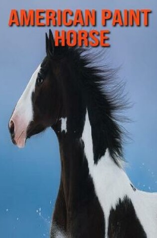 Cover of American Paint Horse