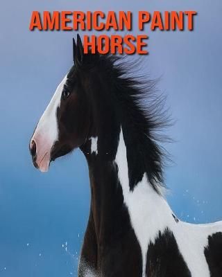 Book cover for American Paint Horse