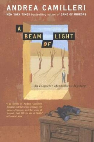 Cover of A Beam of Light