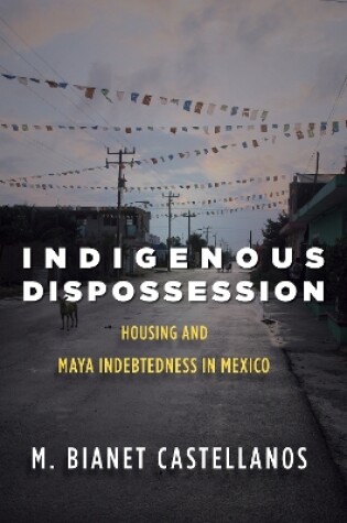 Cover of Indigenous Dispossession