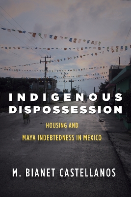 Book cover for Indigenous Dispossession