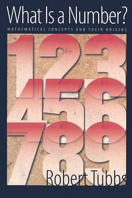 Book cover for What Is a Number?