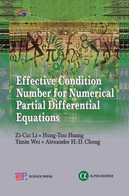 Book cover for Effective Condition Number for Numerical Partial Differential Equations