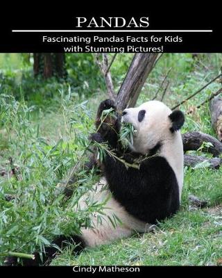 Book cover for Pandas