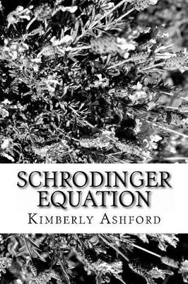 Cover of Schrodinger Equation