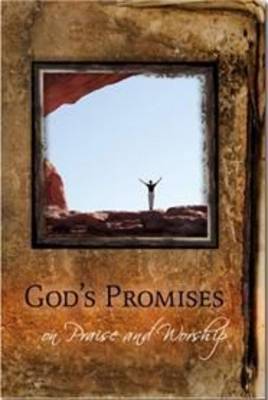 Book cover for God's Promises on Praise and Worship