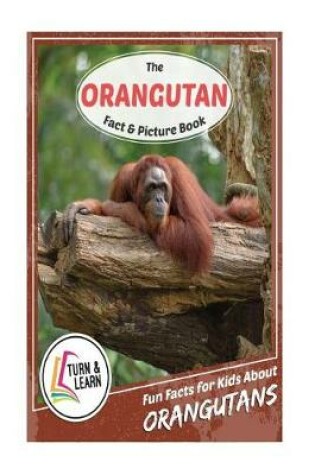 Cover of The Orangutan Fact and Picture Book