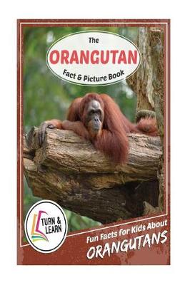 Book cover for The Orangutan Fact and Picture Book