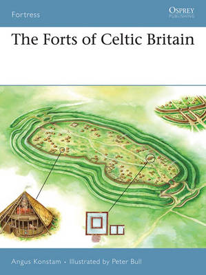 Book cover for The Forts of Celtic Britain