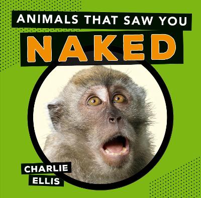 Book cover for Animals That Saw You Naked