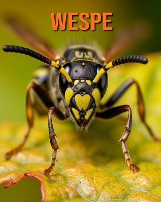 Book cover for Wespe