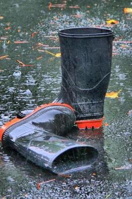 Book cover for Rubber Boots Galoshes Waders Left in the Rain Journal