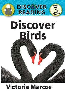 Book cover for Discover Birds