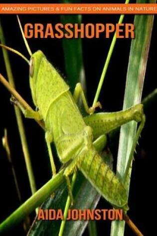 Cover of Grasshopper