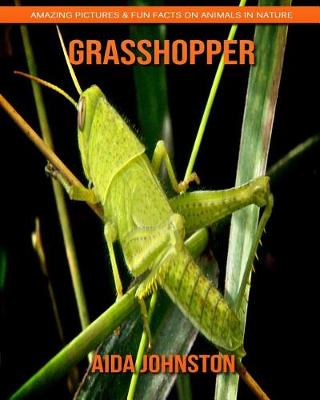 Book cover for Grasshopper