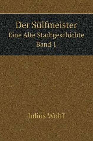 Cover of Der Sülfmeister Eine Alte Stadtgeschichte. Band 1