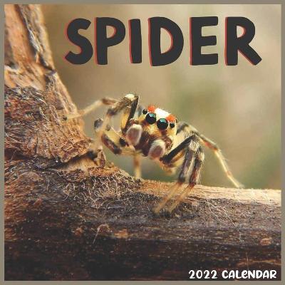 Book cover for Spider 2022 Calendar