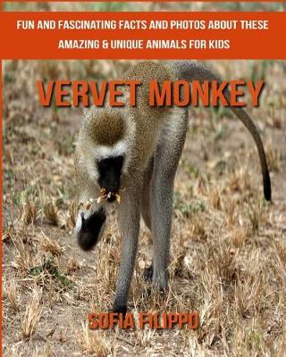 Book cover for Vervet Monkey