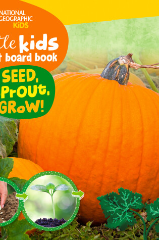 Cover of Little Kids First Board Book Seed, Sprout, Grow!