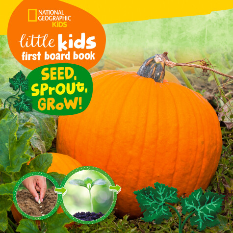 Book cover for Little Kids First Board Book Seed, Sprout, Grow!