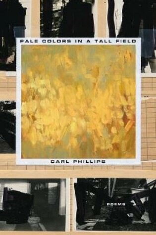 Cover of Pale Colors in a Tall Field