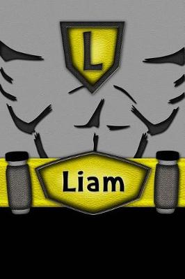 Book cover for Liam