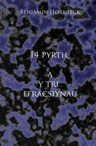 Cover of 14 Pyrth A Y Tri Ffracsiynau