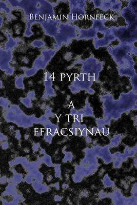 Book cover for 14 Pyrth A Y Tri Ffracsiynau