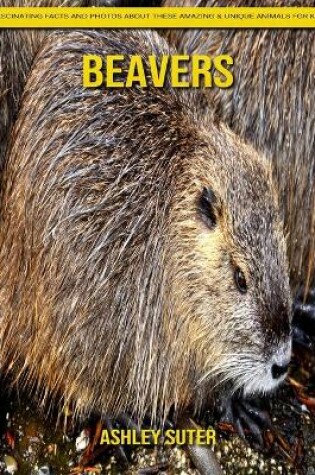 Cover of Beavers