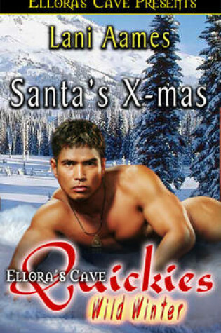 Cover of Santa's Xmas