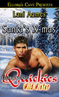 Book cover for Santa's Xmas