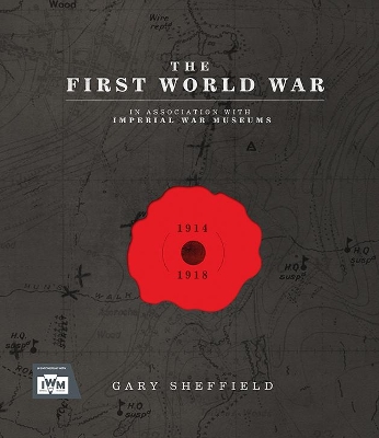 Book cover for IWM The First World War