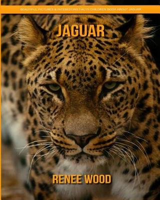 Book cover for Jaguar