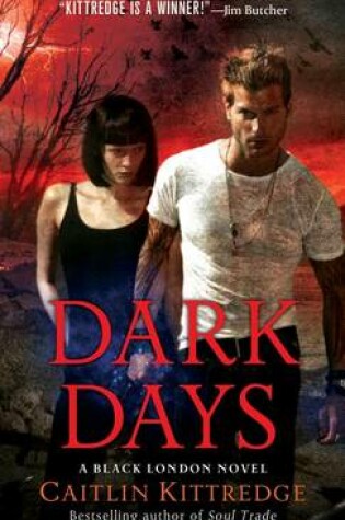 Cover of Dark Days