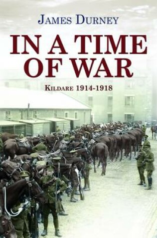 Cover of In a Time of War: Kildare 1914-1918