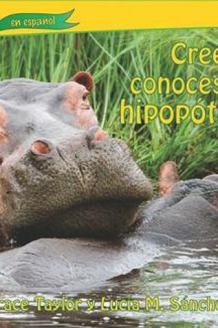 Cover of Crees Que Conoces a Los Hipoptamos (You Think You Know Hippos)